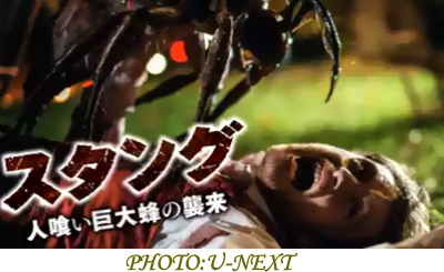 「スタング 人喰い巨大蜂の襲来」はB級映画の傑作！？レビューと見どころを紹介
