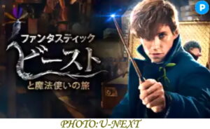 人気配信作品「映画ファンタスティック・ビーストと魔法使いの旅」あらすじ・伏線・考察！