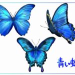 青い蝶の意味！恋愛やスピリチュアル的には？
